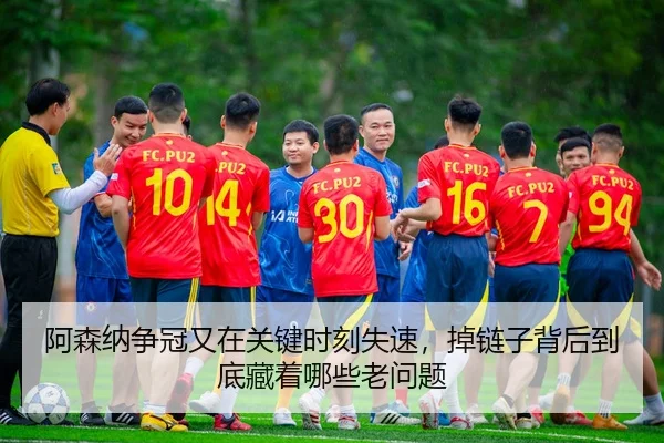 a-sen-na-zheng-guan-you-zai-guan-jian-shi-ke-shi-su-diao-lian-zi-bei-hou-dao-di-cang-zhe-na-xie-lao-wen-ti-2-176.jpg